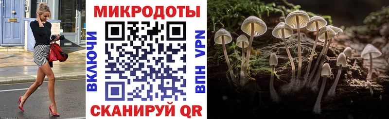 где можно купить   hydra рабочий сайт  Галлюциногенные грибы Psilocybine cubensis  Ахтырский 